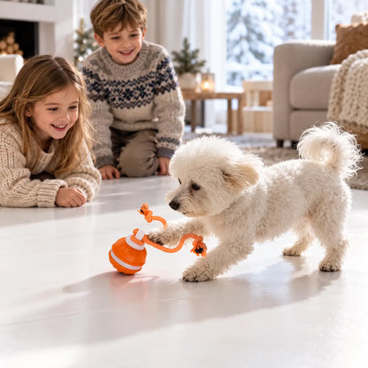 Hundespielzeug