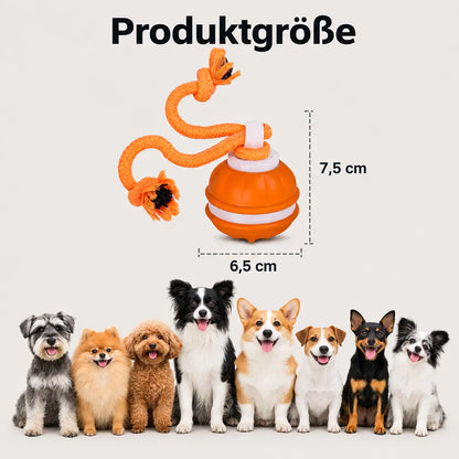 Hundespielzeug