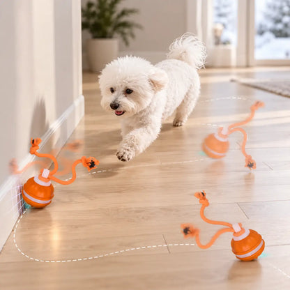 Hundespielzeug