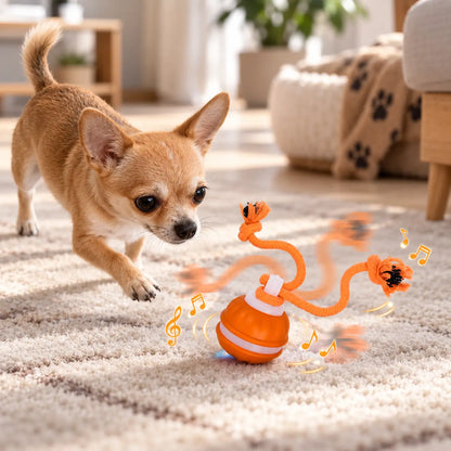 Hundespielzeug