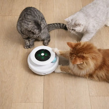 Interaktives_Katzenspielzeug Produktmerkmale 