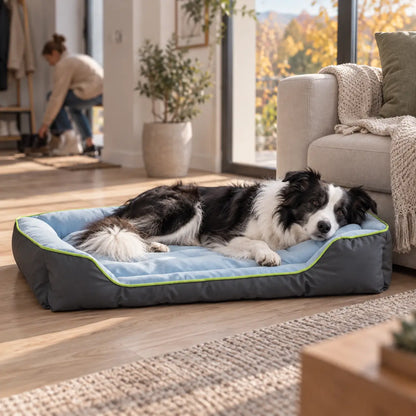 Hundebett Lifestyle-Bild