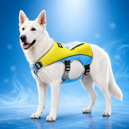 Hundegeschirr Hauptbild