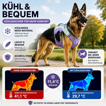 Hundegeschirr Vorteile