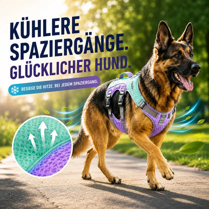 Hundegeschirr Hauptbild