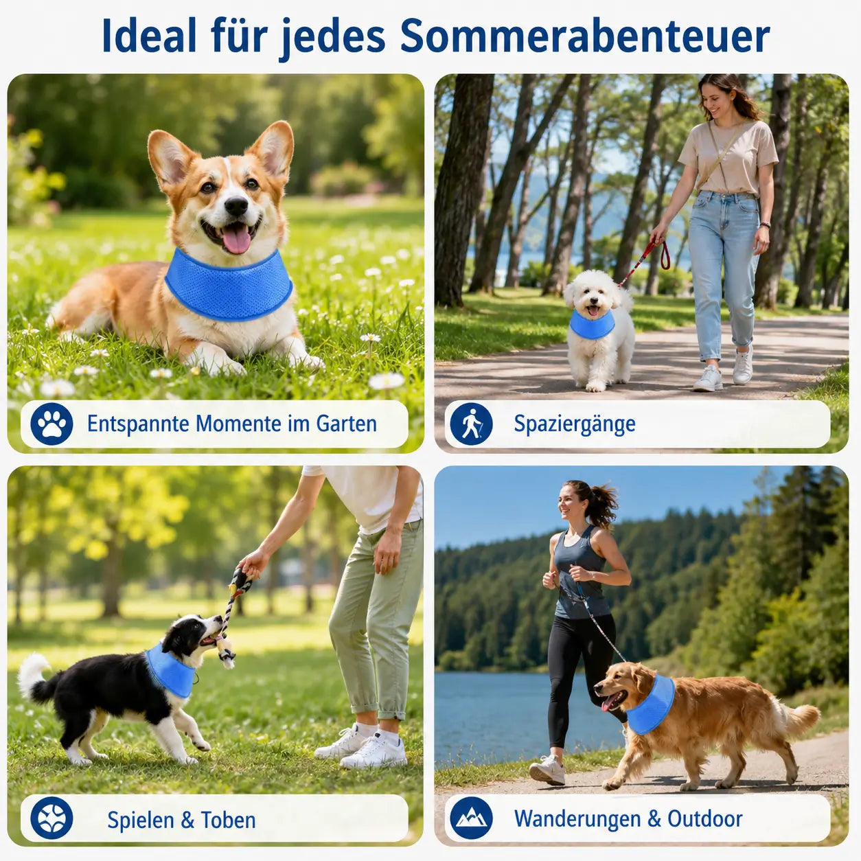 Hundehalsband Anwendungsszenarien 
