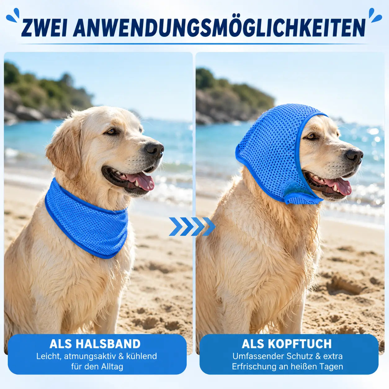 Hundehalsband Funktionsübersicht 