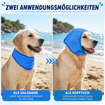 Hundehalsband Funktionsübersicht 