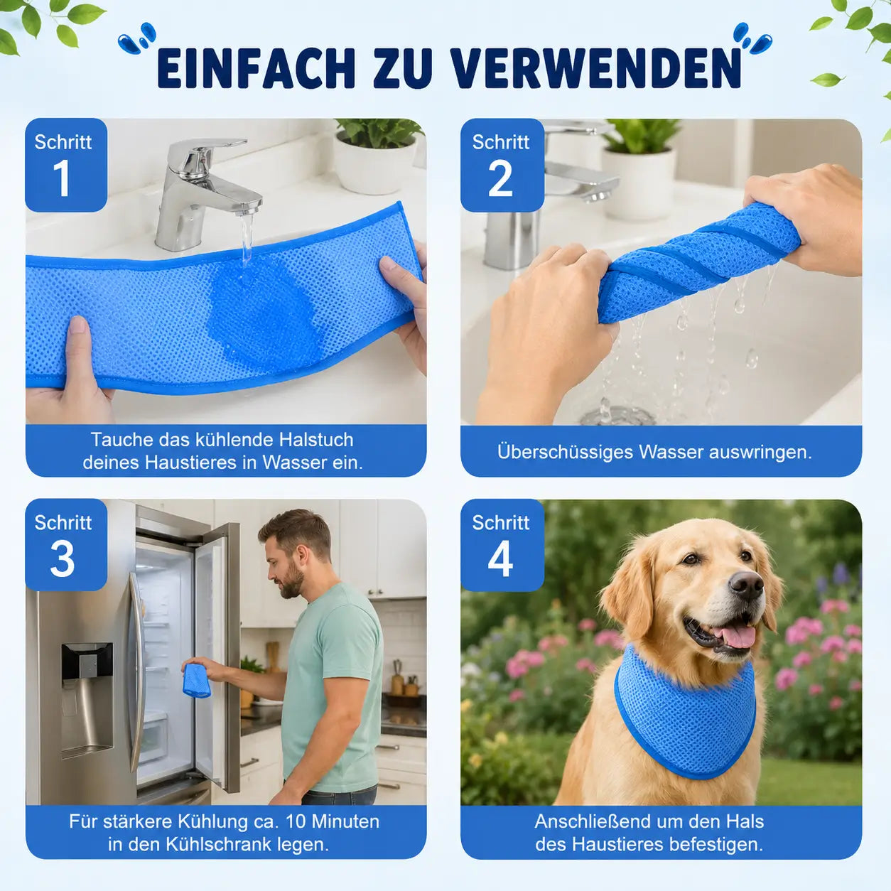 Hundehalsband Funktionsübersicht 
