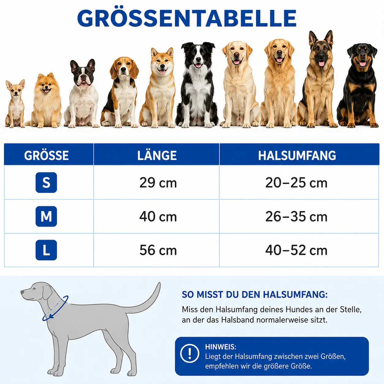 Hundehalsband Größentabelle 