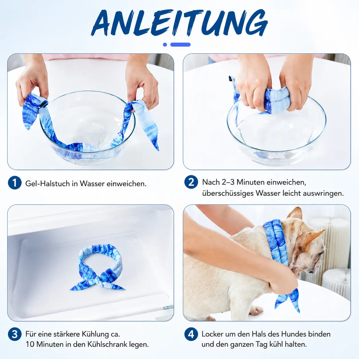 Kuhlendes Funktionsübersicht 