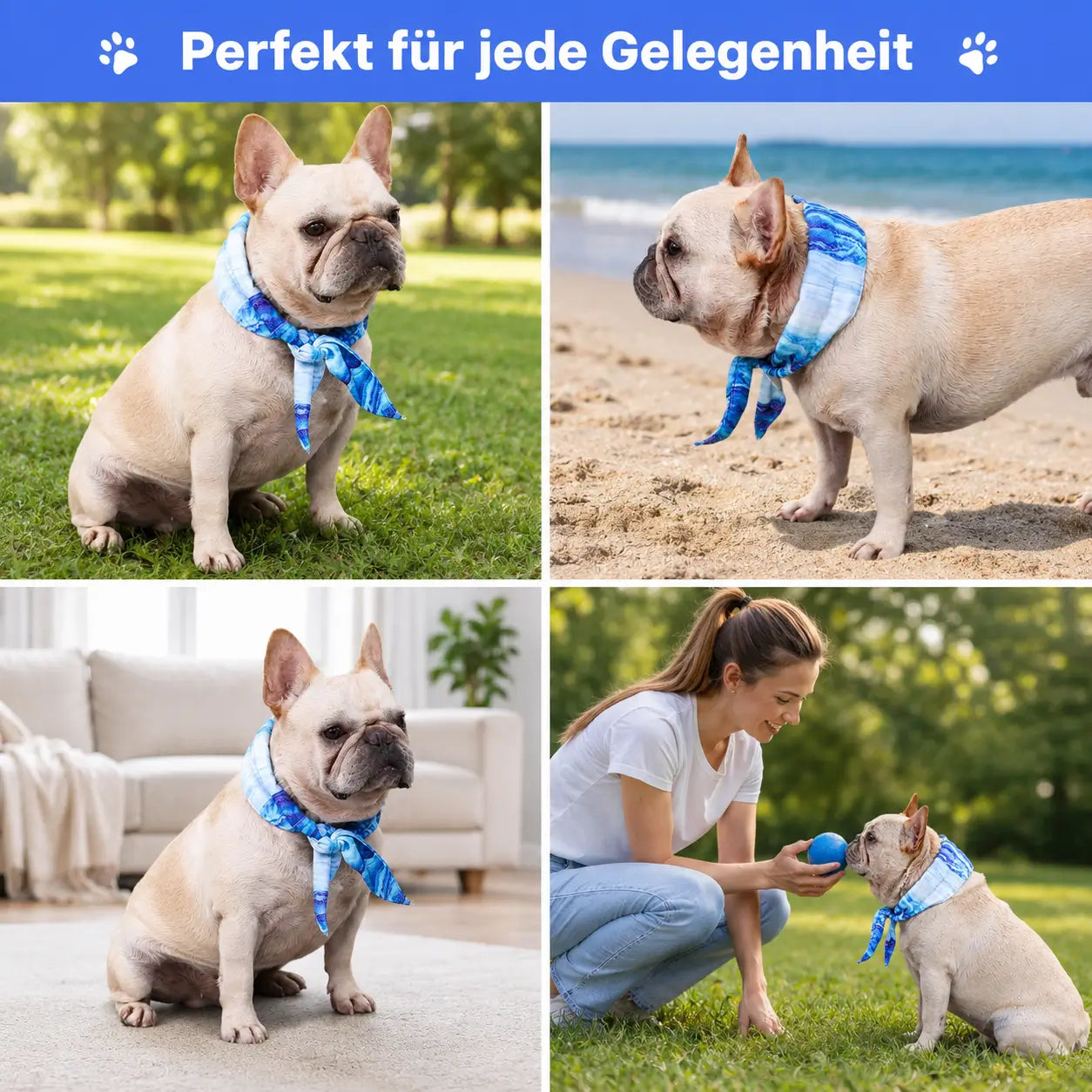 Kuhlendes Anwendungsszenarien 