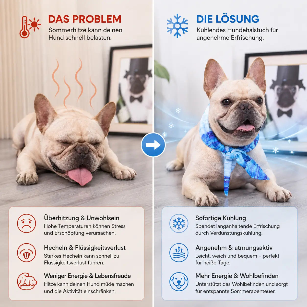 Kuhlendes Problem & Lösung