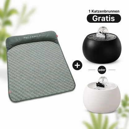 Katzenbett inkl. Gratis Keramik