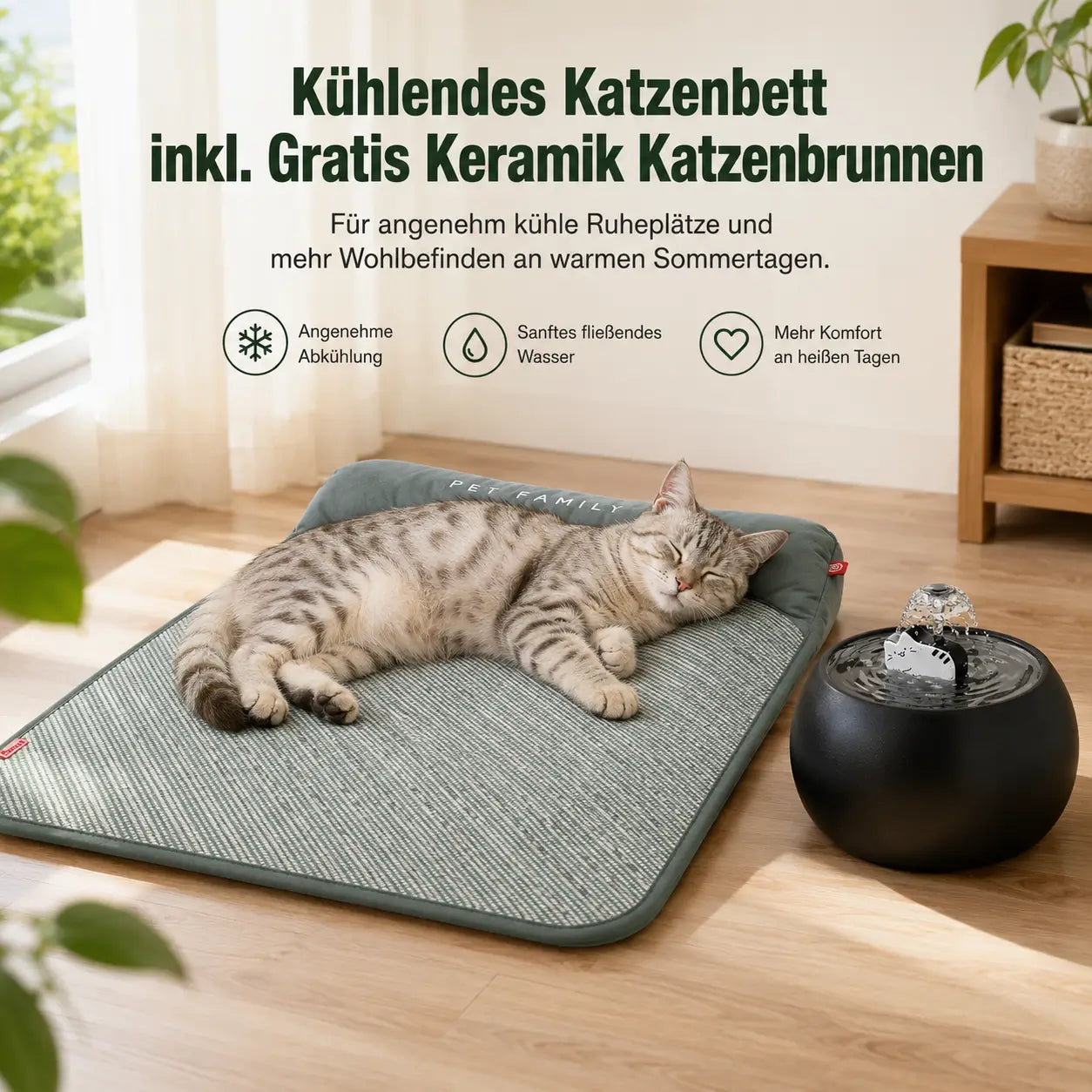 Katzenbett inkl. Gratis Keramik