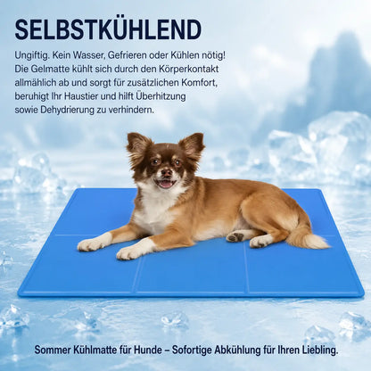 Kuhlmatte  Funktionsübersicht 