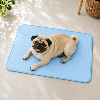 K_hlmatte Hunde