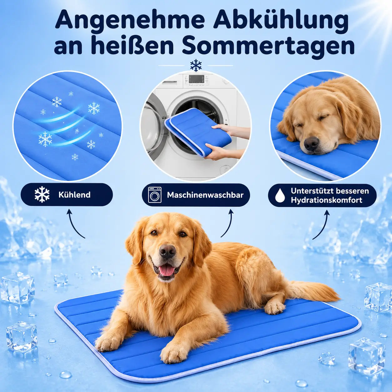 Kühlmatte für hunde information