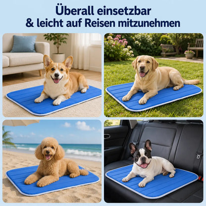 Hunde mit kühlmatte für hunde 