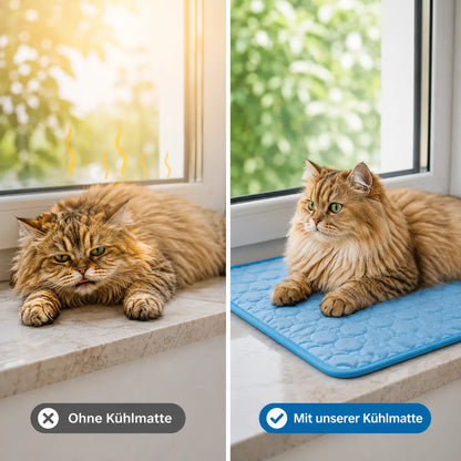 Kuhlmatte Problem & Lösung