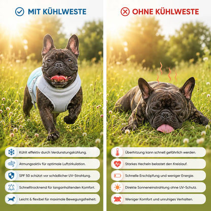 Kuhlweste Problem & Lösung