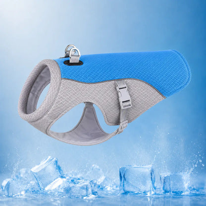 Kuhlweste Blau