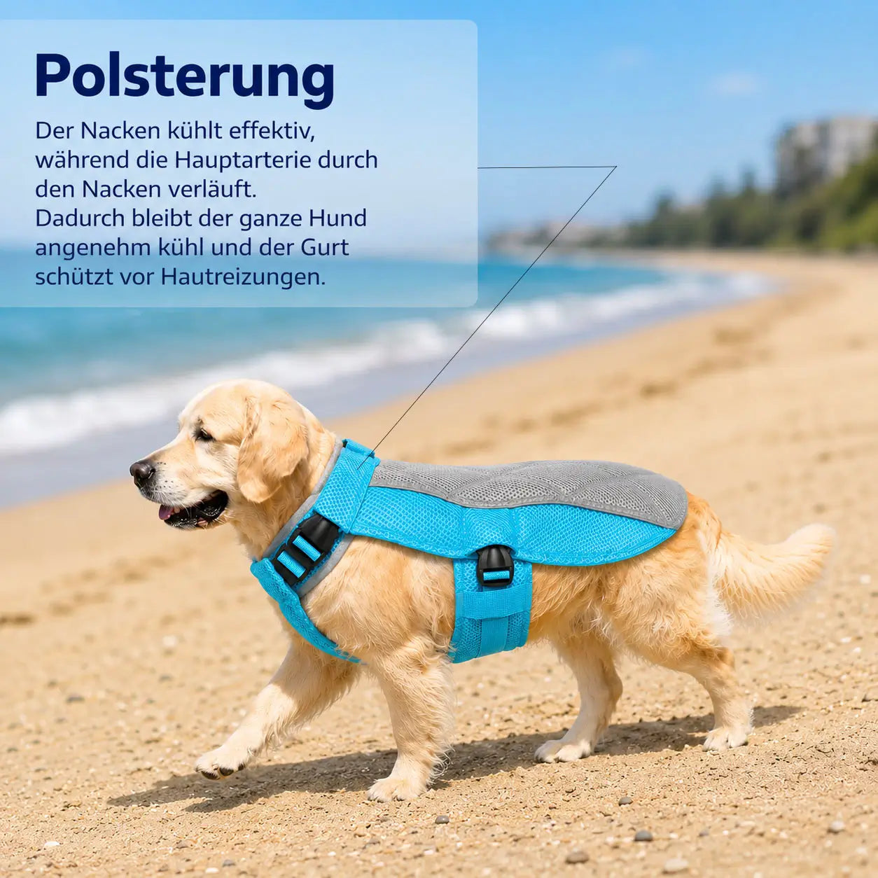 Kuhlweste Funktionsübersicht 