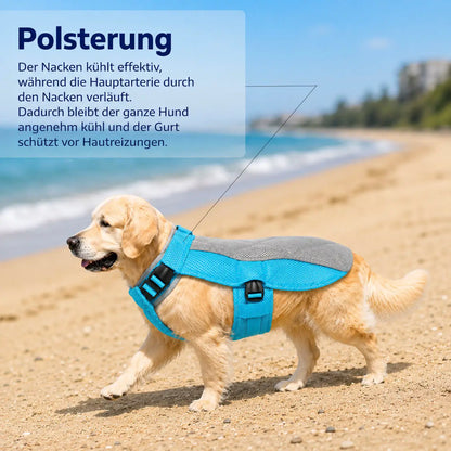 Kuhlweste Funktionsübersicht 