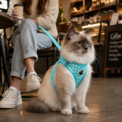 Katzen Geschirr 