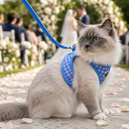 Katzen Geschirr