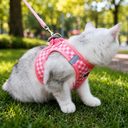 Katzen Geschirr