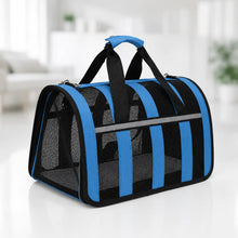 Transportbox Blau