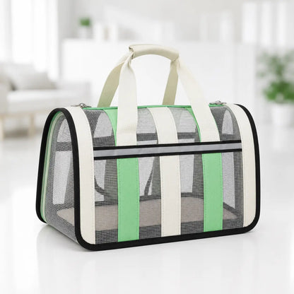 Transportbox Turkis