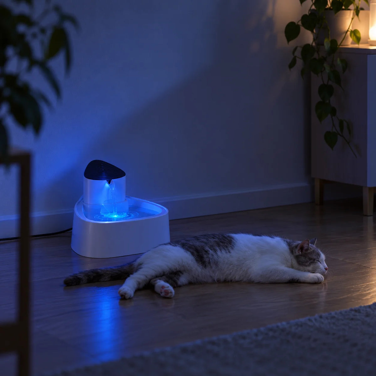 Katzen_Trinkbrunnen Lifestyle-Bild
