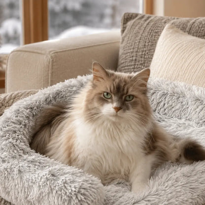 Katzenbett