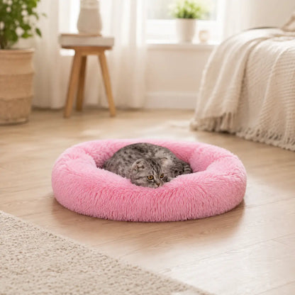 Katzenbett 