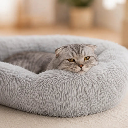 Katzenbett 