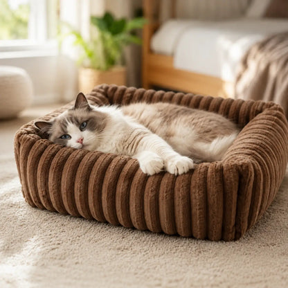 Katzenbett Winter Lifestyle-Bild