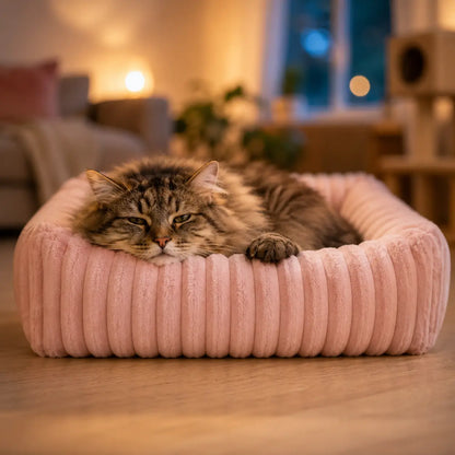 Katzenbett Winter Lifestyle-Bild