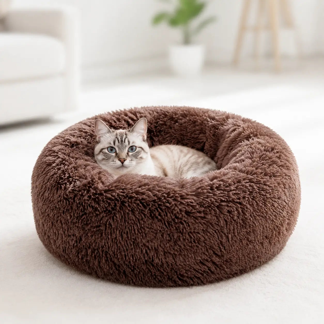 Katzenbett rund 
