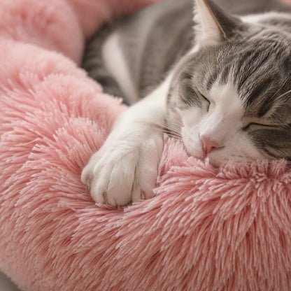 Katzenbett rund Lifestyle-Bild 