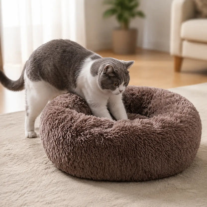 Katzenbett rund Lifestyle-Bild 