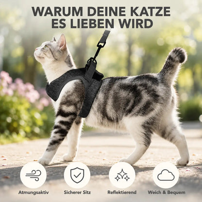 Katzengeschirr Vorteile
