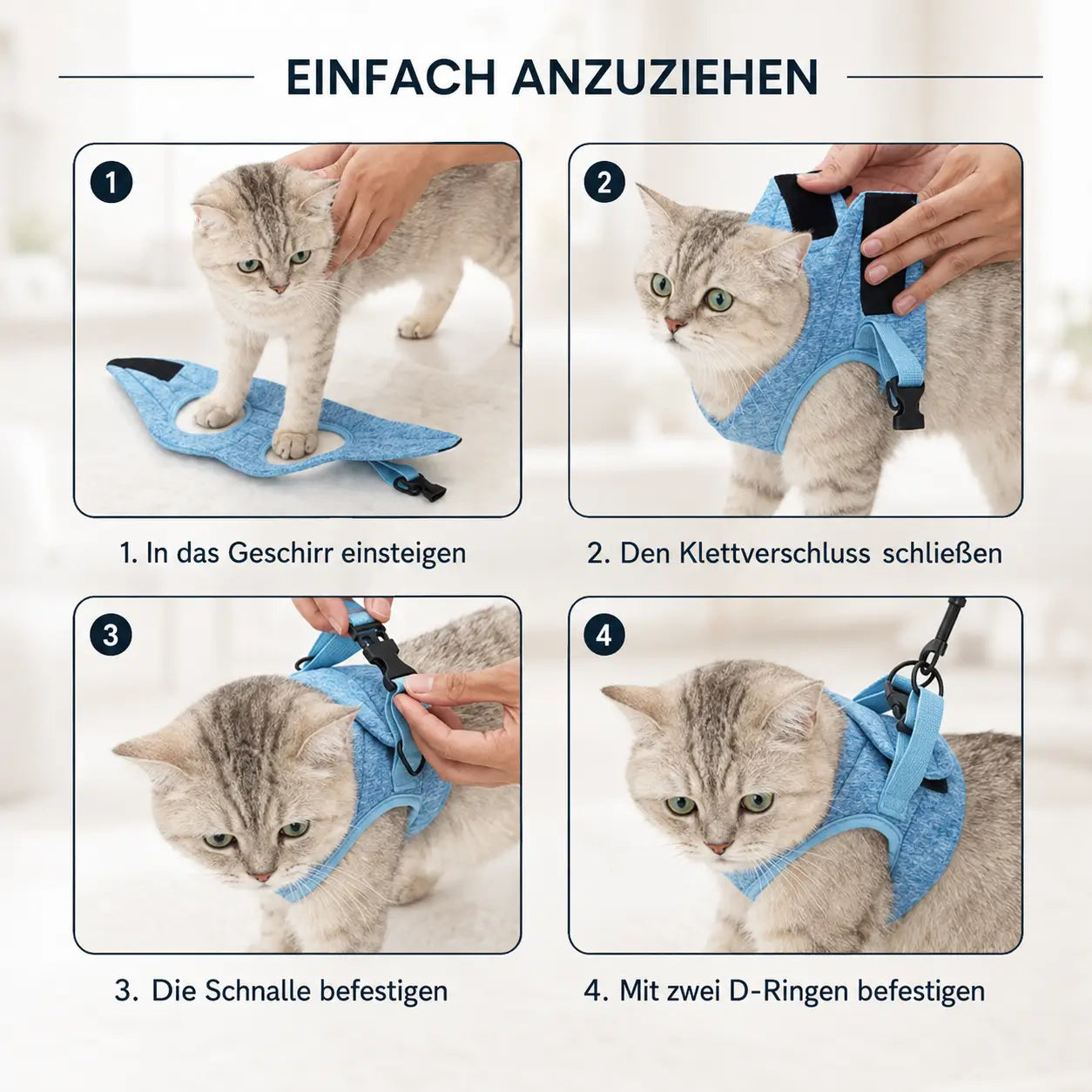 Katzengeschirr Installation