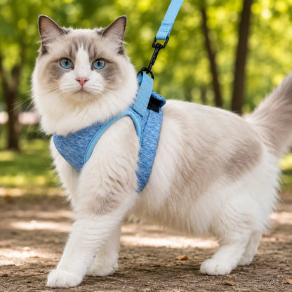 Katzengeschirr