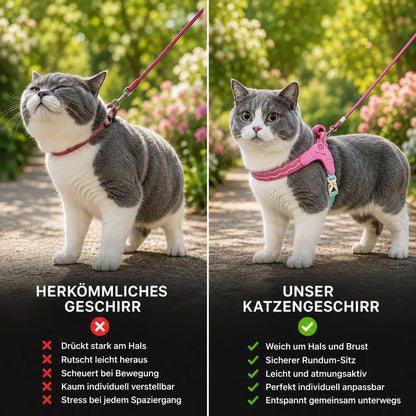 Katzengeschirr Vergleich