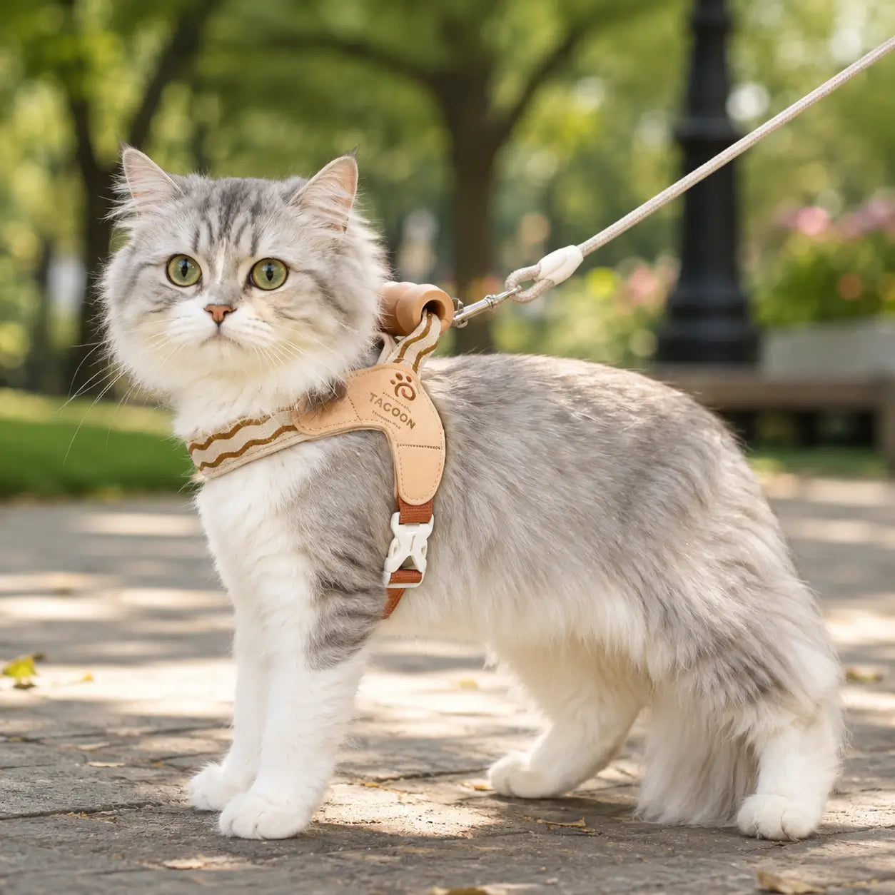 Katzengeschirr 