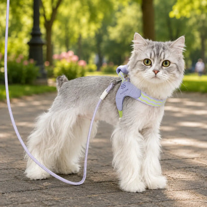Katzengeschirr 