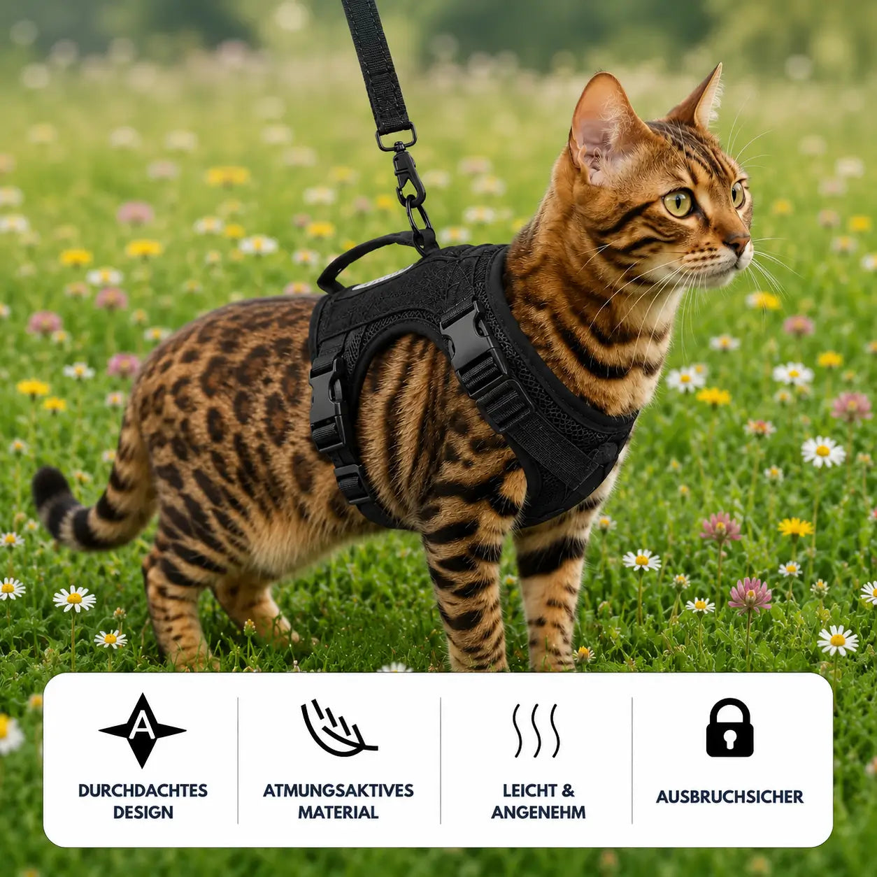 Katzengeschirr Produktmerkmale 