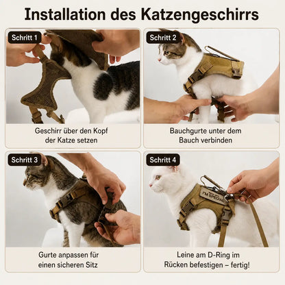 Katzengeschirr Installation 
